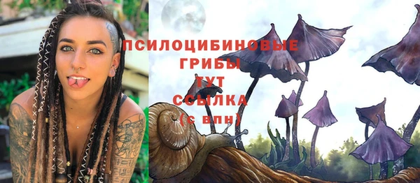 мяу мяу мука Магадан