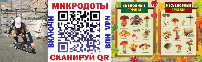 Галлюциногенные грибы Psilocybe Сычёвка