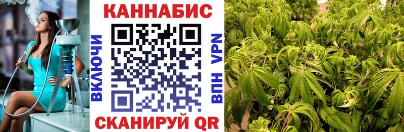 цена Сычёвка Каннабис ГИДРОПОН